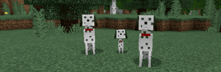 Doggos Galore — screenshot 5