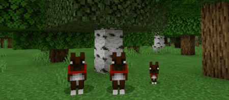 Doggos Galore — screenshot 7