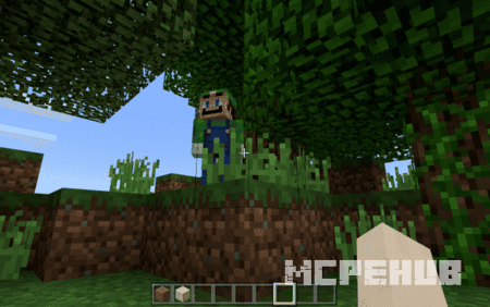 Luigi the Creeper — screenshot 2