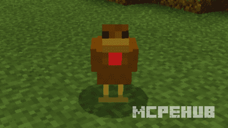 Painted Chickens — screenshot 7