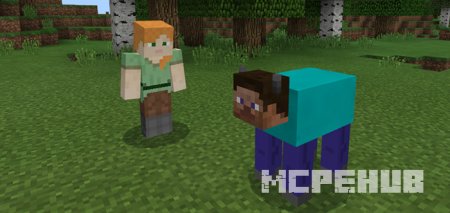 Steve Cow — screenshot 2