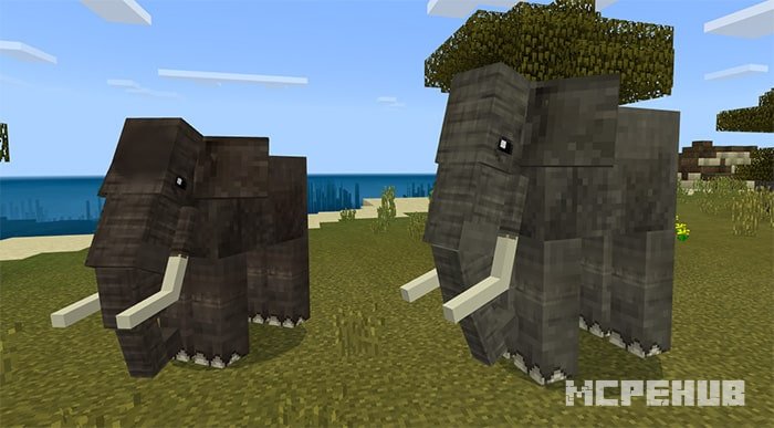 Elephants and Mammoths