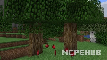 More Fruits — screenshot 7