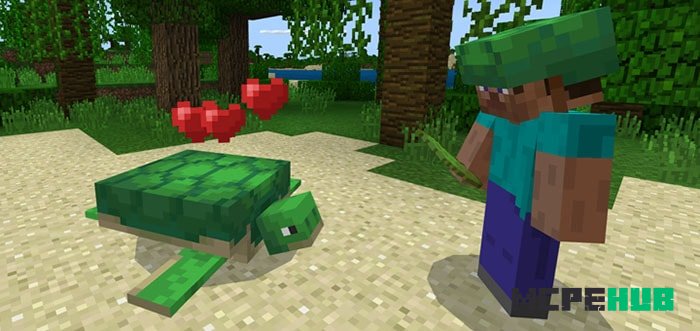 Turtle Plus