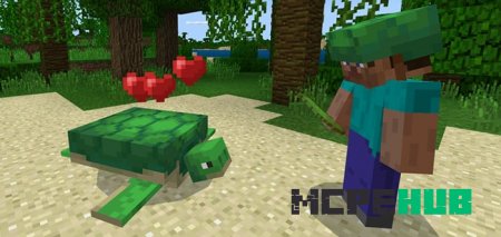 Turtle Plus — screenshot 2