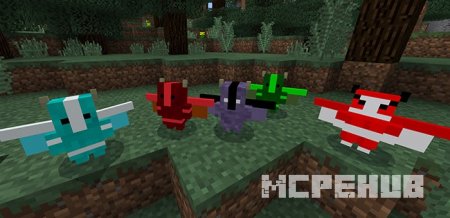Turtle Plus — screenshot 7