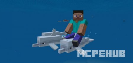 Controllable Rideable Dolphins — screenshot 2