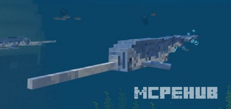 Narwhal Addon — screenshot 1