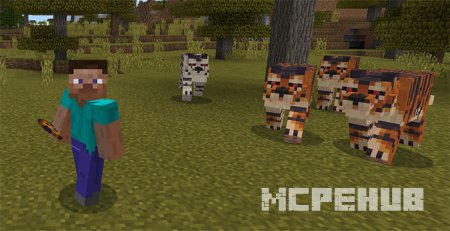 Mo'Arrows Addon — screenshot 6