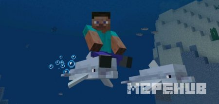 Dolphin Riding — screenshot 1