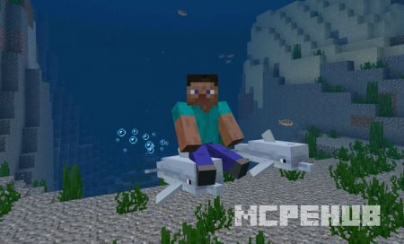 Dolphin Riding — screenshot 2