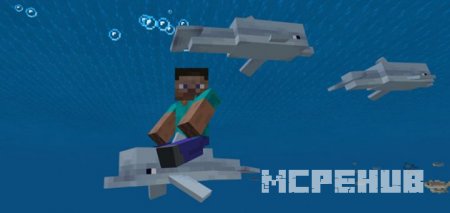 Dolphin Riding — screenshot 3