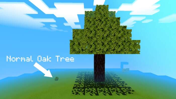 Oak Tree but it's 16x BIGGER Map — screenshot 3