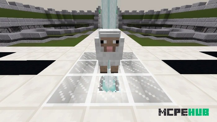 Capture The Sheep Map