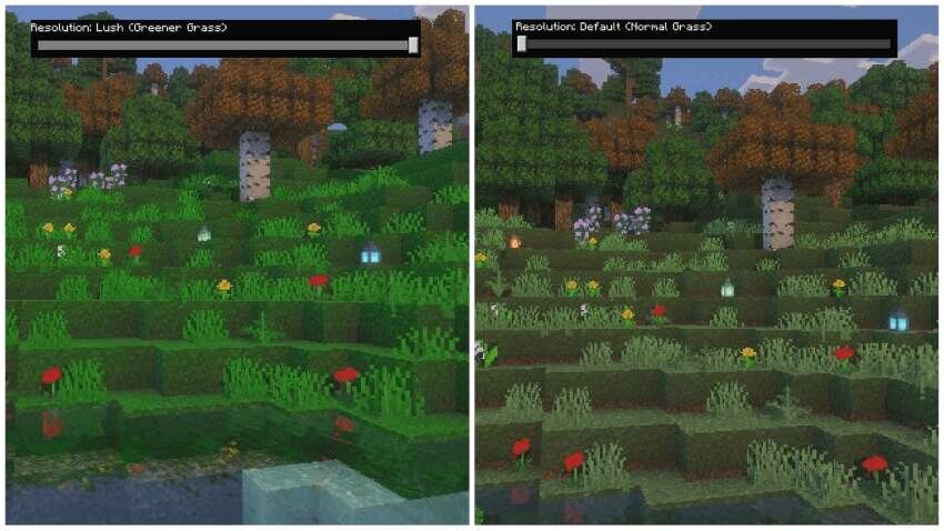 Faithful Nature Textures — screenshot 2