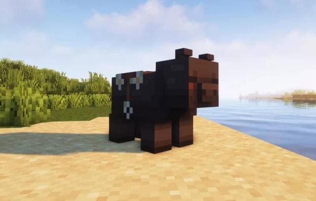 Txyme's Cottagecore Textures — screenshot 3