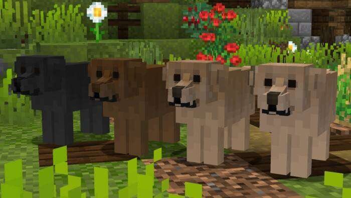 Better Dogs Textures — screenshot 2