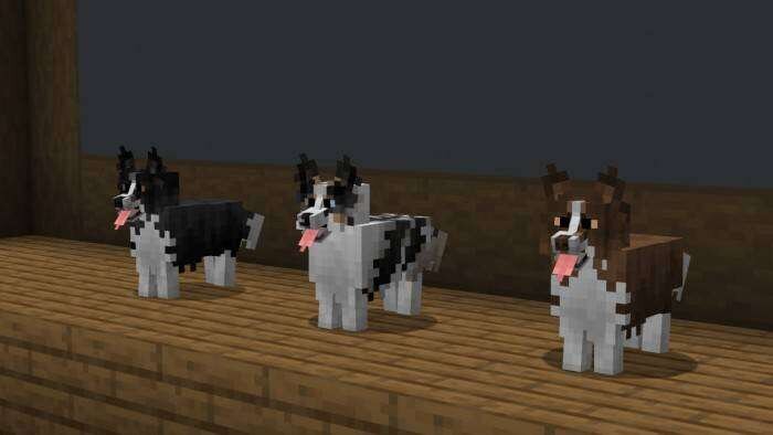 Better Dogs Textures — screenshot 3