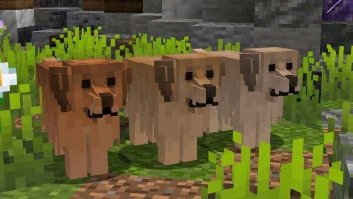 Better Dogs Textures — screenshot 4