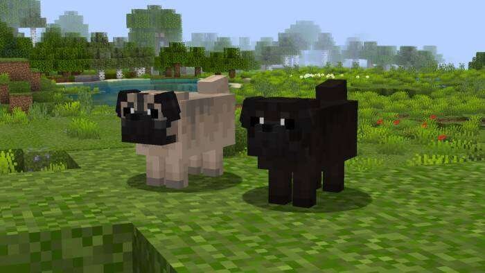 Better Dogs Textures — screenshot 7