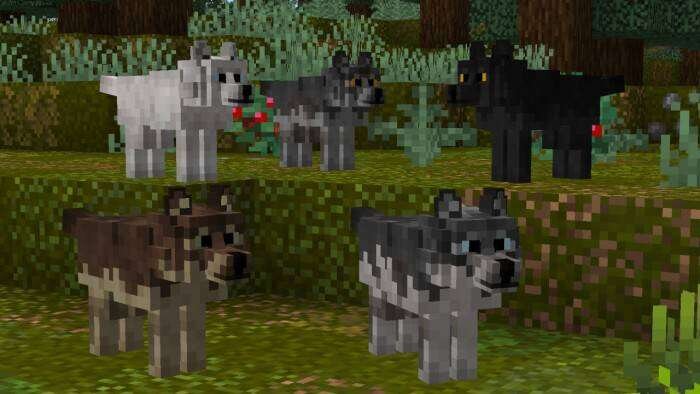 Better Dogs Textures — screenshot 8