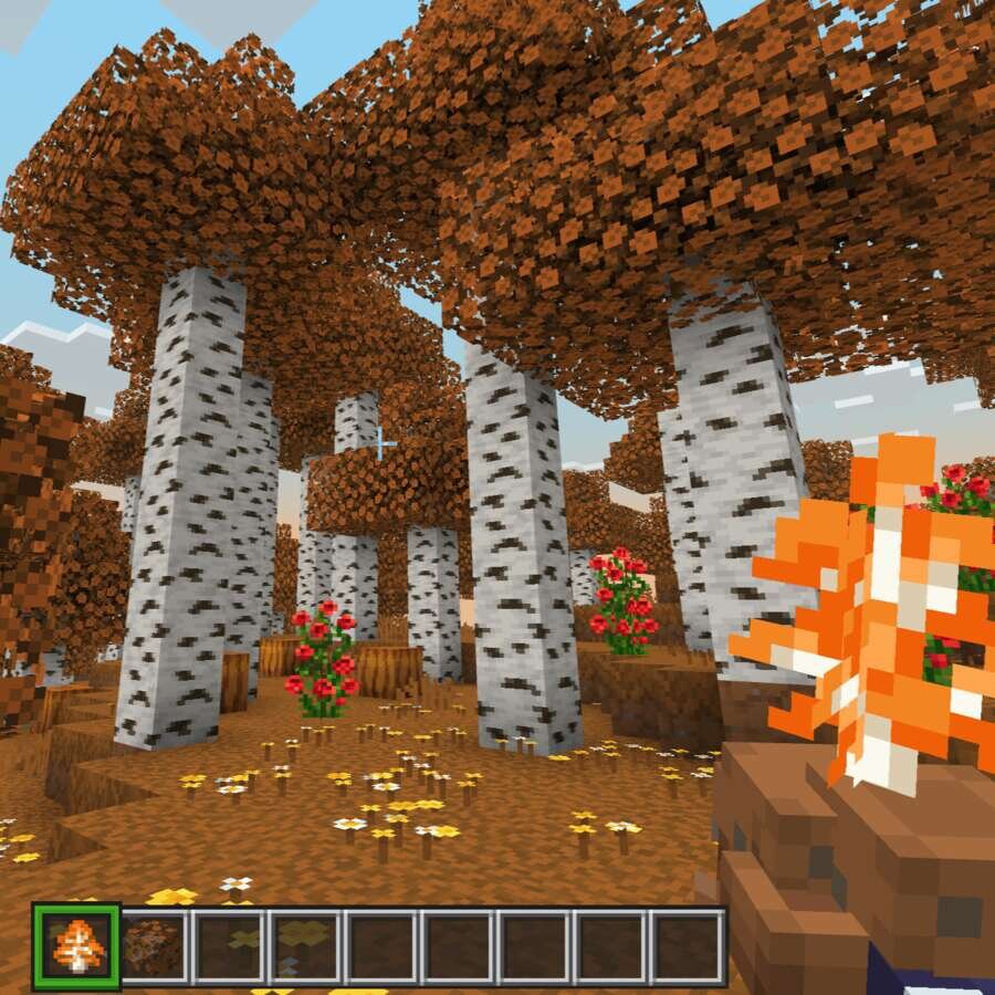 Orange Trees For A&S Textures — screenshot 5