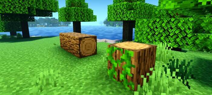Round Logs — screenshot 3