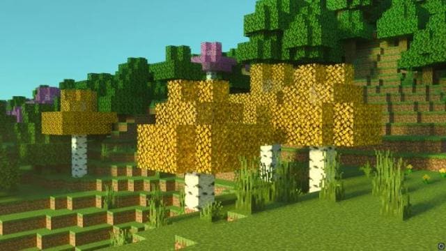 Birch Plus+ Textures — screenshot 3
