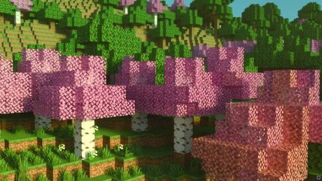Birch Plus+ Textures — screenshot 5