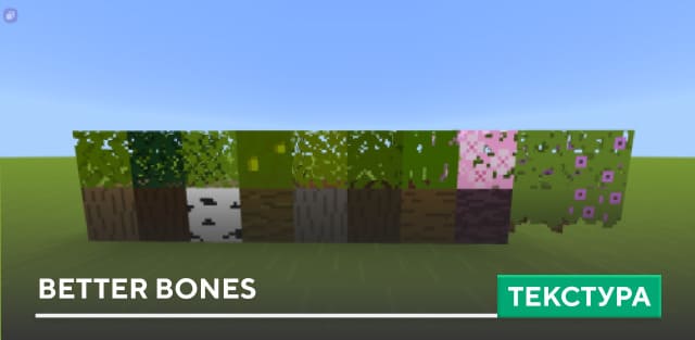 Better Bones Textures — screenshot 1