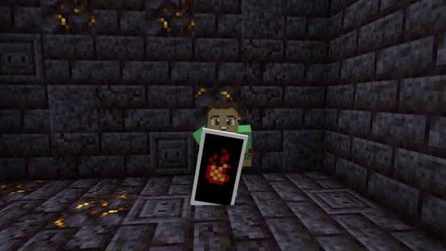 Custom Shields 2 Textures — screenshot 2