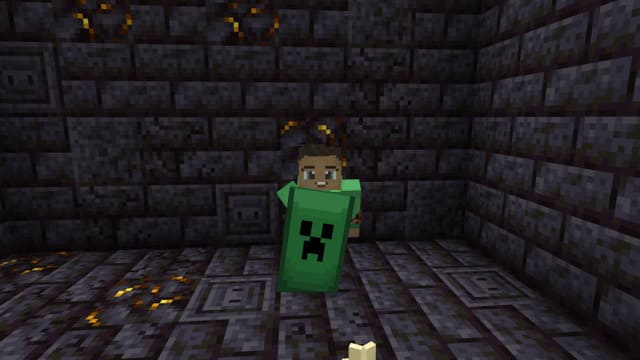 Custom Shields 2 Textures — screenshot 4