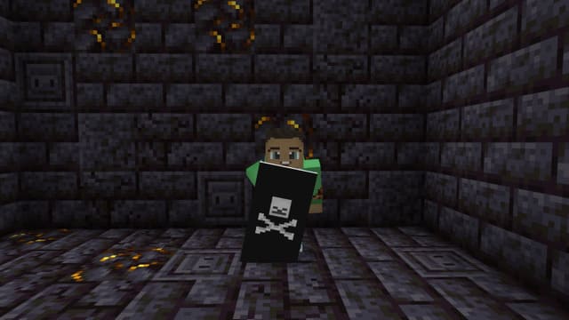 Custom Shields 2 Textures — screenshot 5