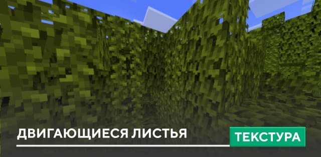 Moving Leaves Textures — screenshot 1