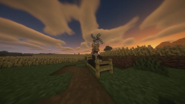MCN — screenshot 2