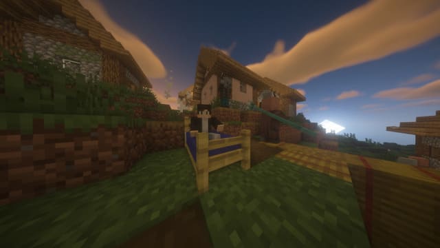 MCN — screenshot 4