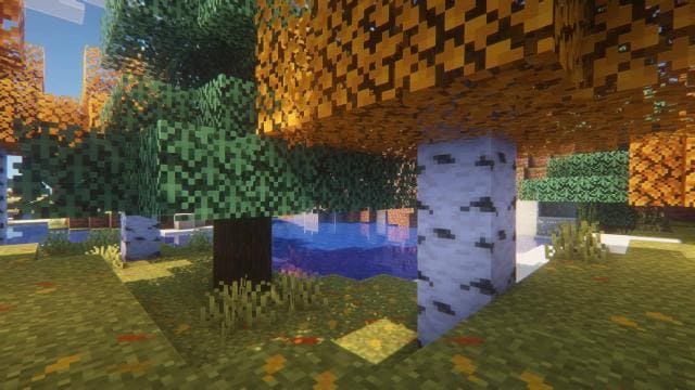 Autumn Pack 2 Textures — screenshot 4