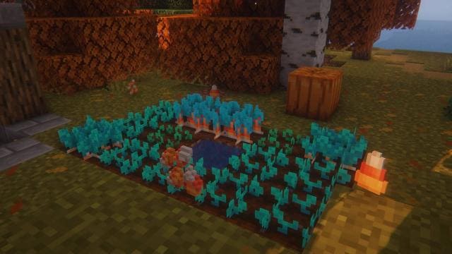 Autumn Pack 2 Textures — screenshot 7