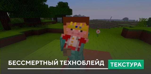 Immortalized Technoblade Textures — screenshot 1