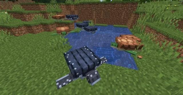 Better Turtle Variants Textures