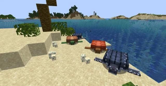 Better Turtle Variants Textures — screenshot 3