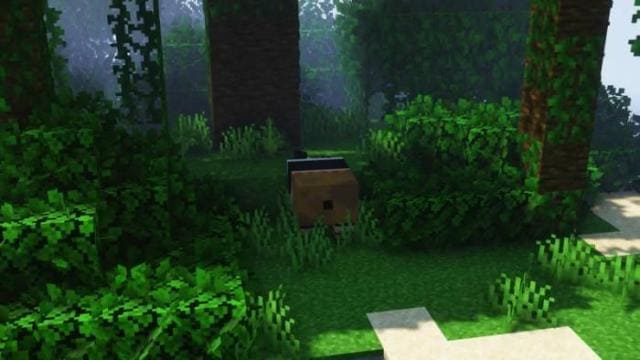 Kung Fu Panda Textures — screenshot 5