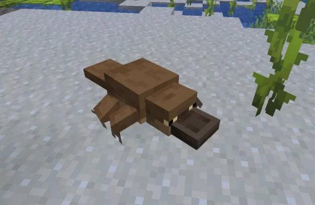 Platypus Axolotl Textures — screenshot 8