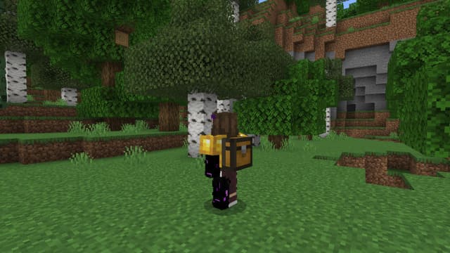 Armor Backpack | Chestplate Textures — screenshot 4