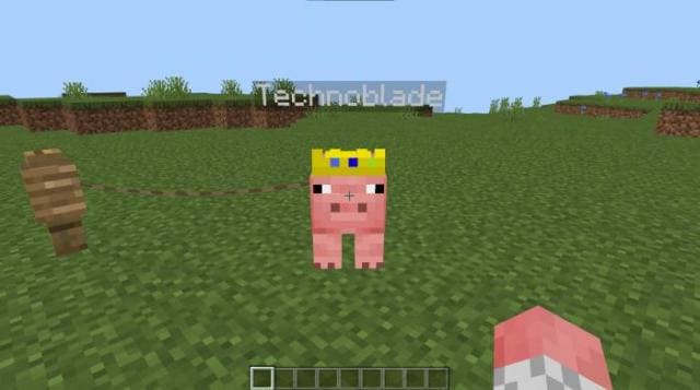 Technoblade Tribute Textures — screenshot 3