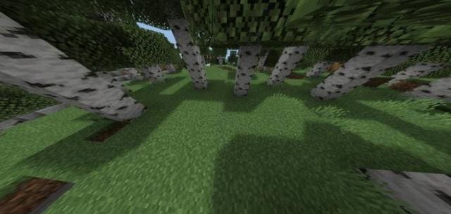 Better Shadow Textures — screenshot 2
