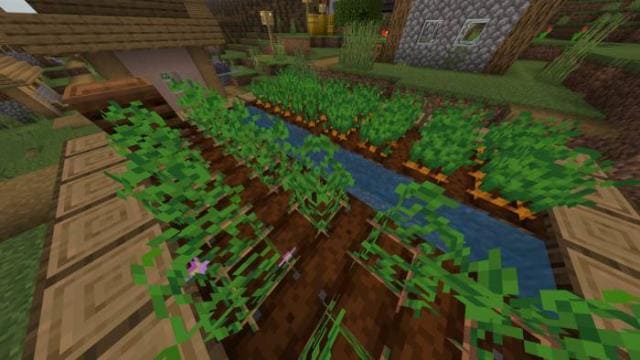 Variated Crops Textures — screenshot 3