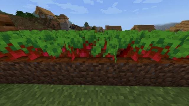 Variated Crops Textures — screenshot 5