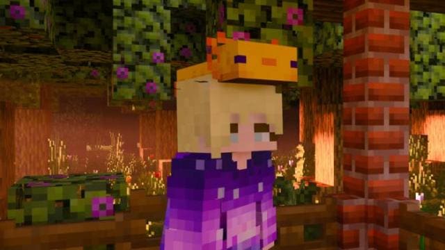 Wearable Axolotl Mob Heads Textures — screenshot 3