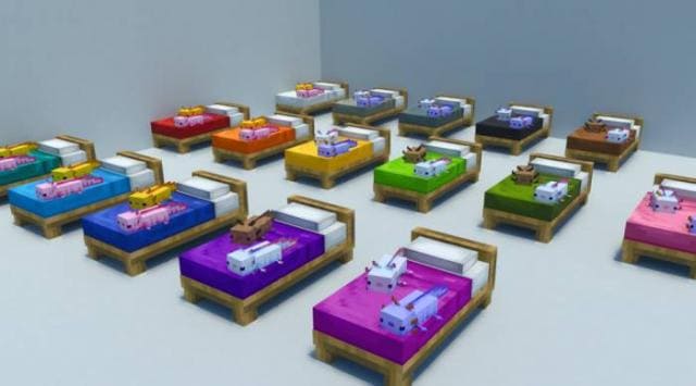 Axolotl Plushies on Beds Textures — screenshot 2